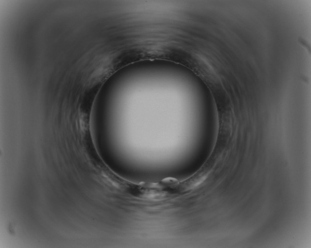 X0000097780135200803071358