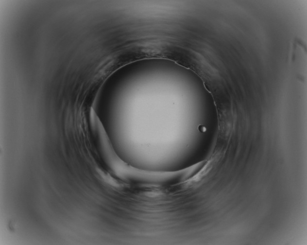 X0000097780136200803071358
