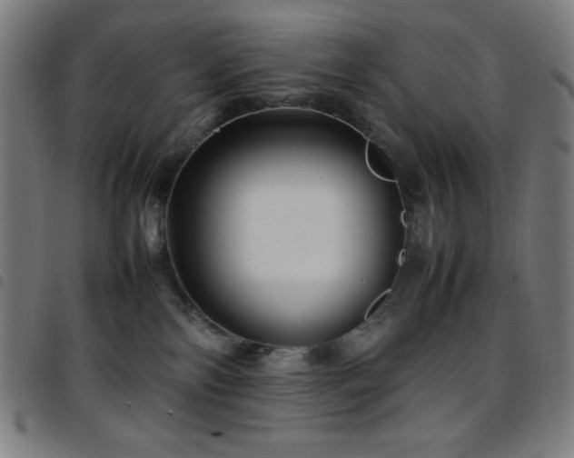 X0000097780138200803071358