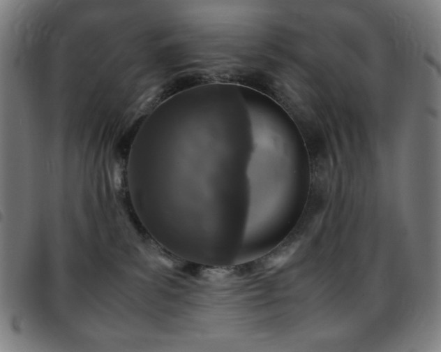 X0000097780139200803071358
