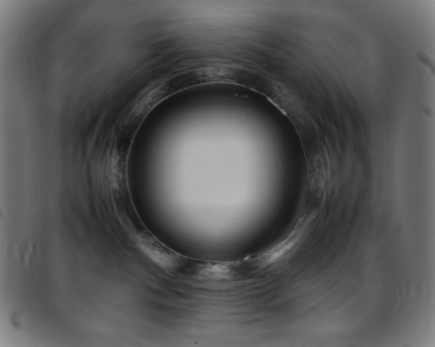 X0000097780140200803071358