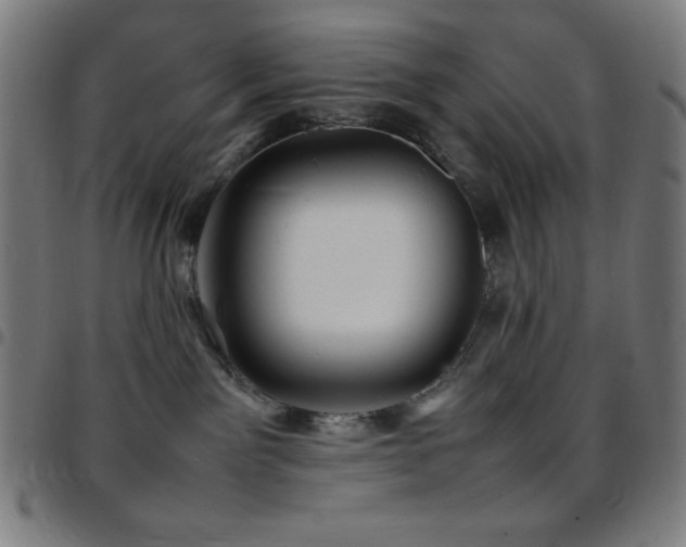 X0000097780141200803071358