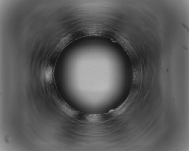 X0000097780142200803071358