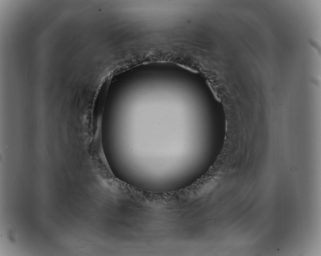 X0000097780144200803071358