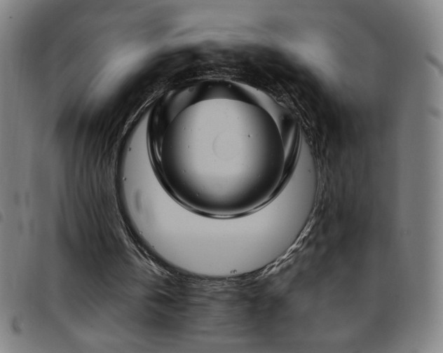X0000097780146200803071357
