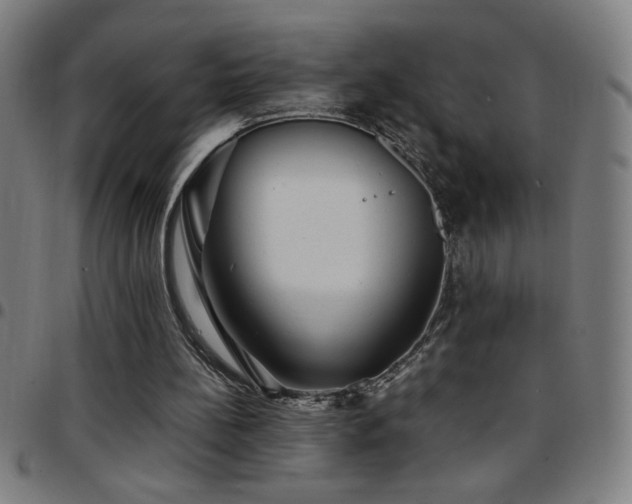 X0000097780148200803071357