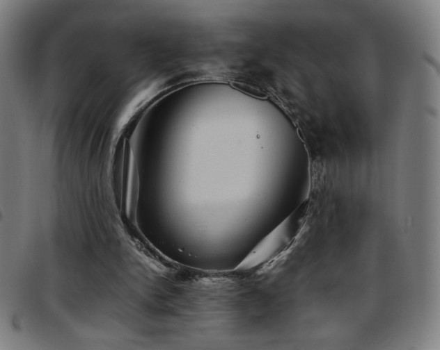 X0000097780150200803071357