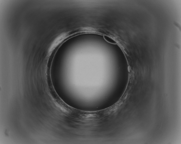 X0000097780151200803071357