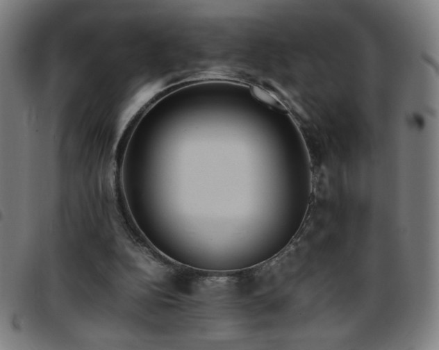 X0000097780152200803071357