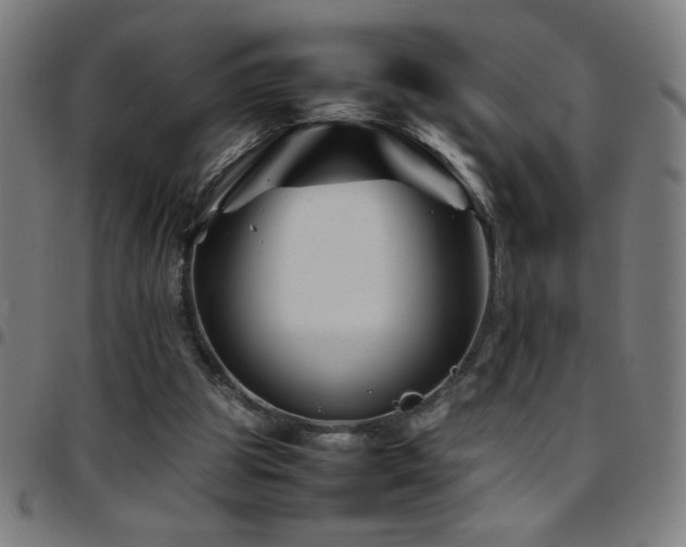 X0000097780153200803071357