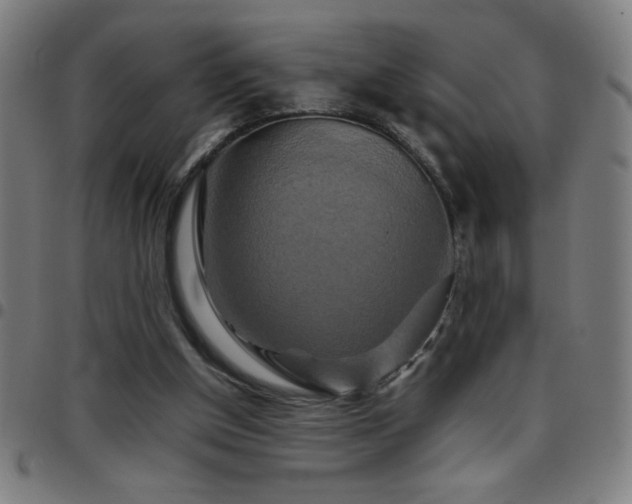 X0000097780154200803071357