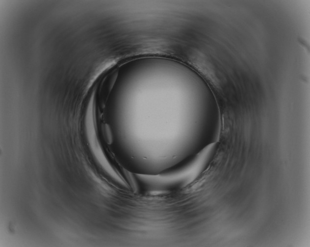 X0000097780156200803071357