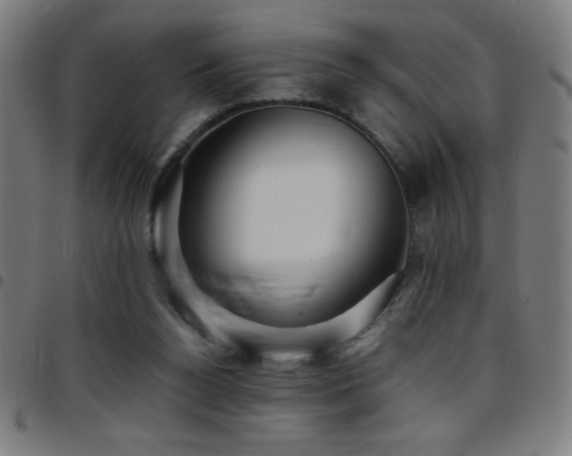 X0000097780160200803071357