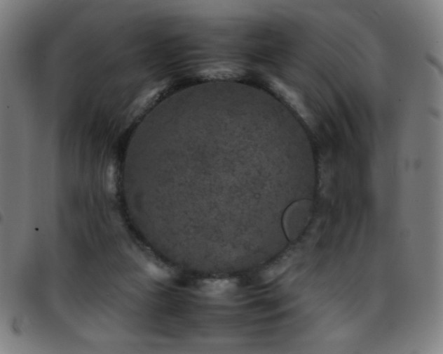 X0000097780161200803071357