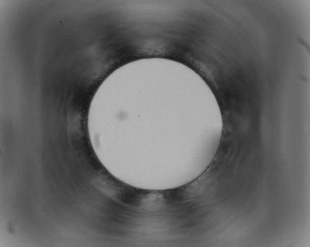 X0000097780162200803071357