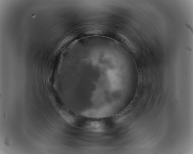 X0000097780163200803071357