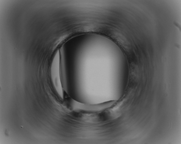 X0000097780164200803071357