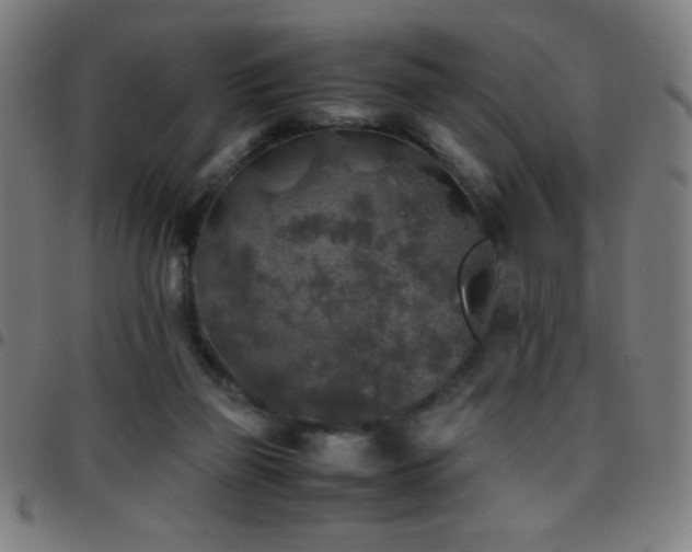 X0000097780165200803071357