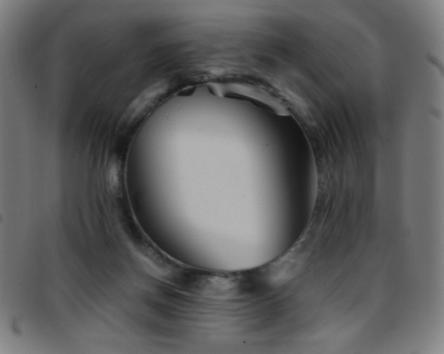 X0000097780166200803071357