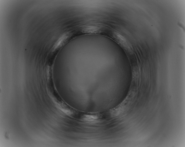 X0000097780167200803071357
