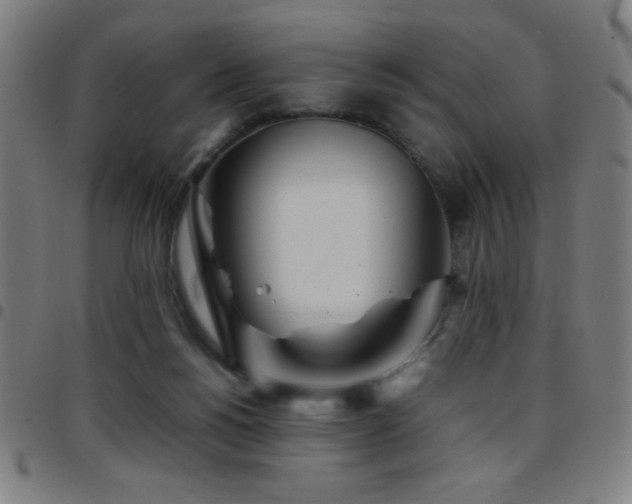 X0000097780168200803071357