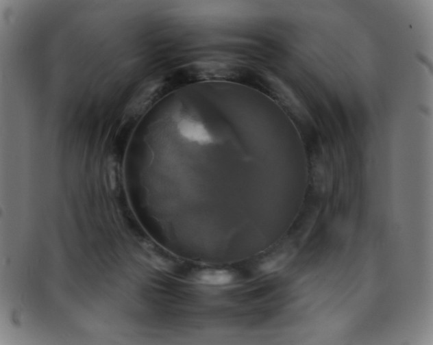 X0000097780169200803071357