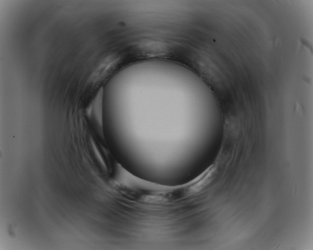 X0000097780170200803071357