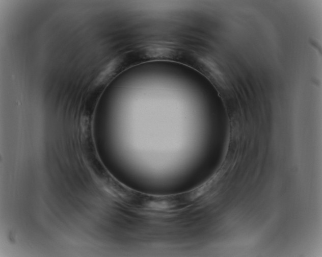 X0000097780171200803071357