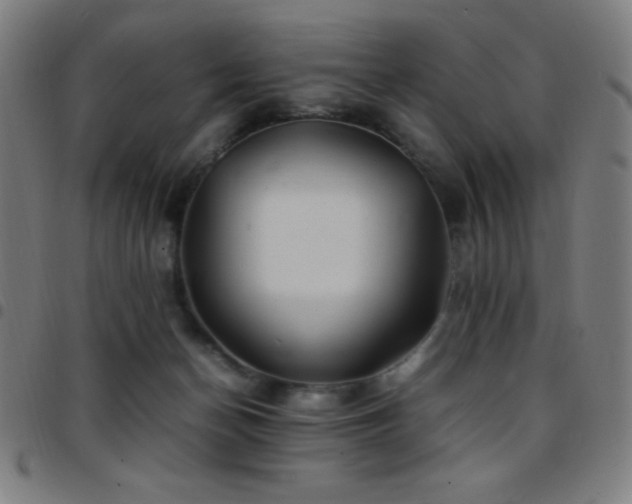 X0000097780174200803071358