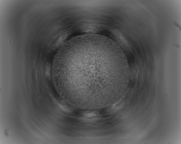 X0000097780175200803071358