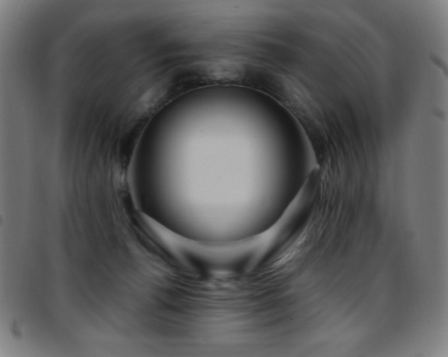 X0000097780176200803071358