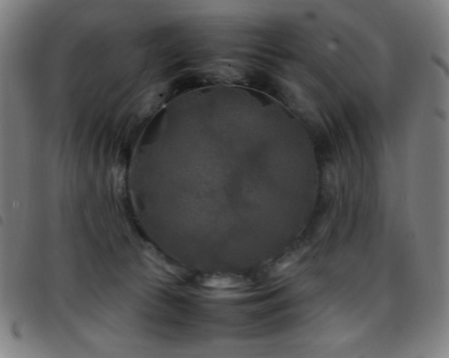 X0000097780177200803071358