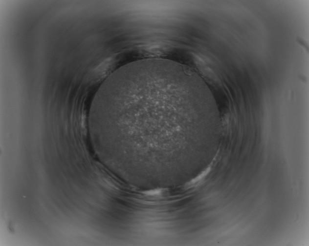 X0000097780178200803071358