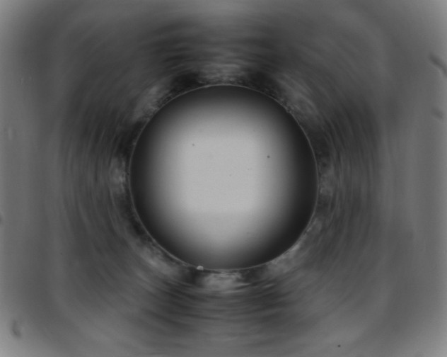 X0000097780179200803071358