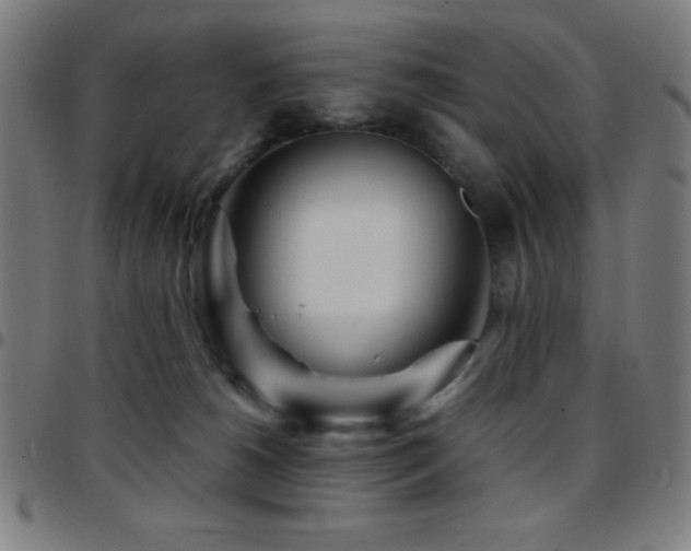 X0000097780180200803071358