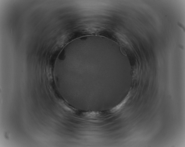 X0000097780182200803071358