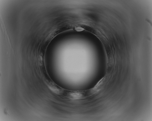 X0000097780183200803071358