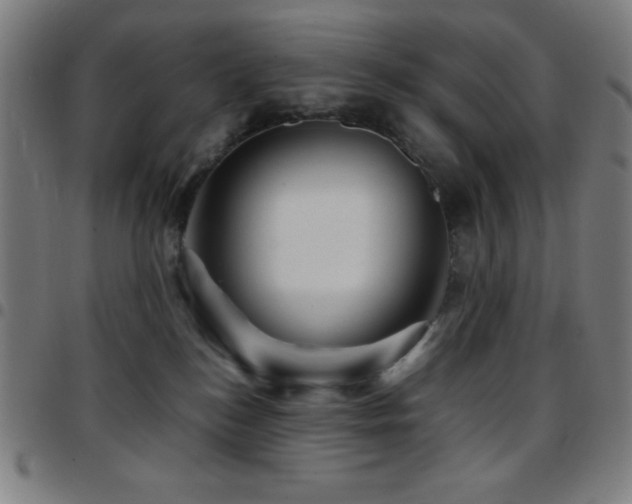 X0000097780184200803071358