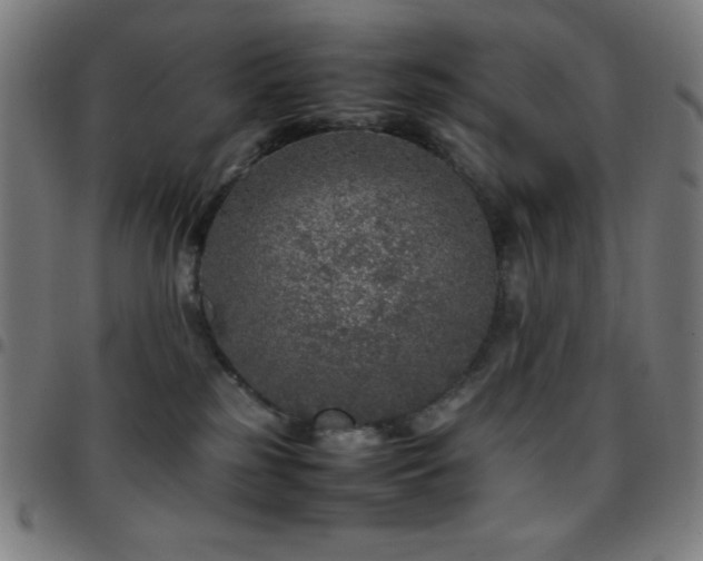 X0000097780185200803071358