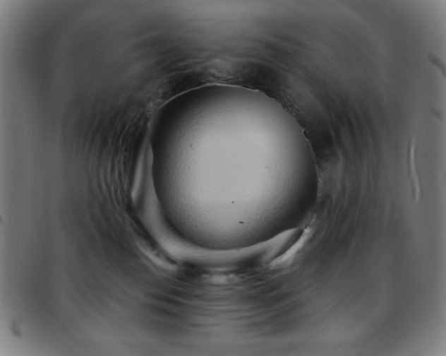 X0000097780186200803071358