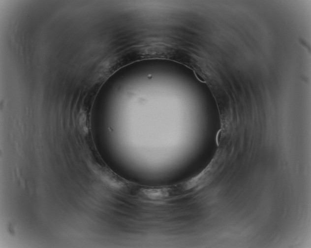 X0000097780187200803071358