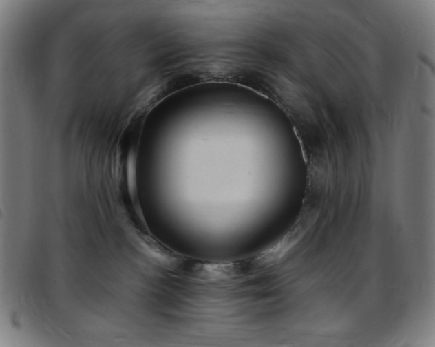 X0000097780188200803071358