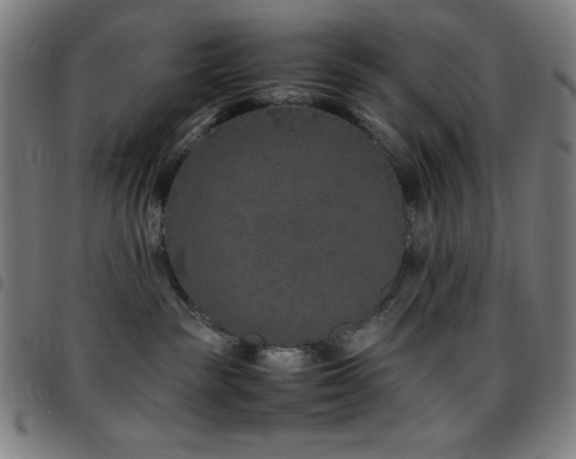 X0000097780189200803071358