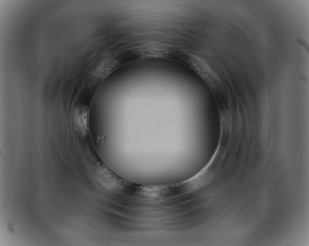 X0000097780190200803071358
