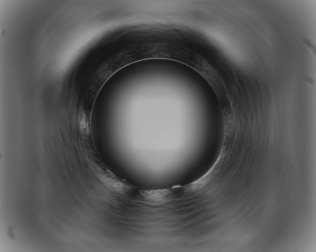 X0000097780191200803071358