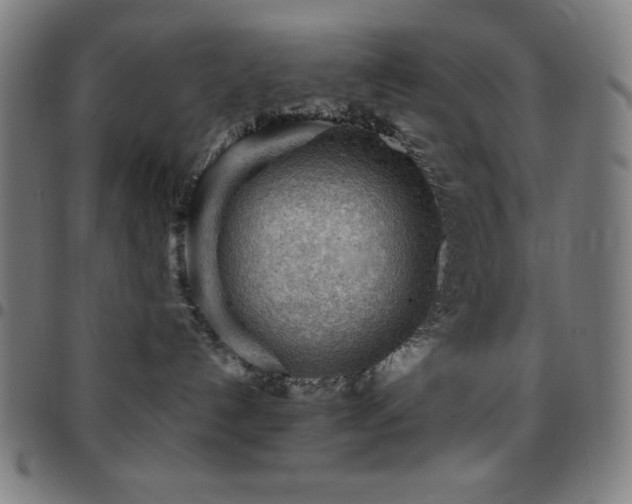 X0000097780192200803071358
