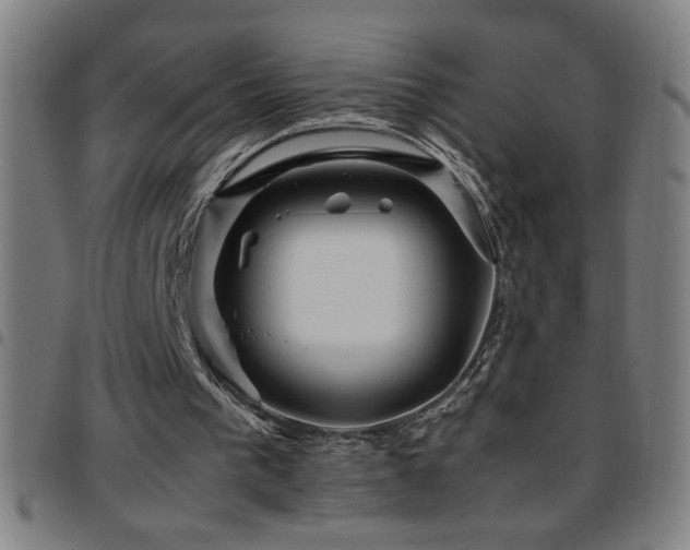 X0000097780193200803071357