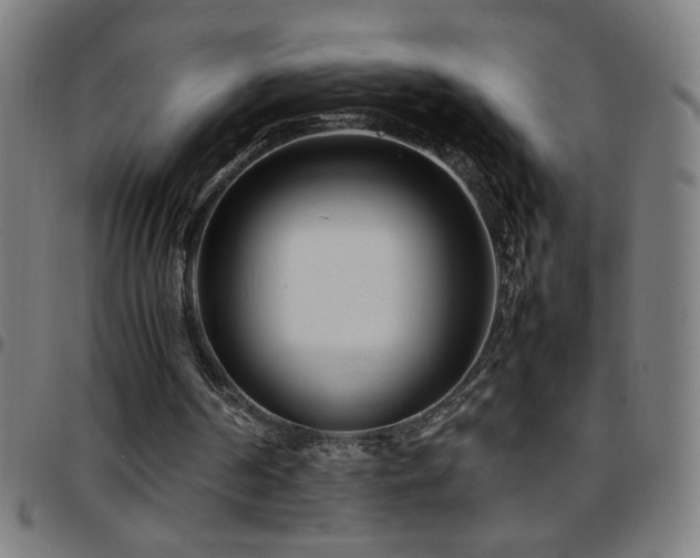 X0000097780194200803071357