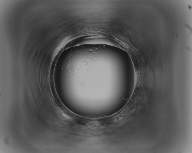 X0000097780195200803071357