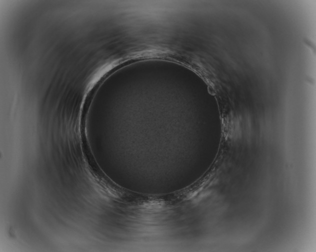 X0000097780196200803071357